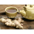 Shandong Factory Yellow Ginger